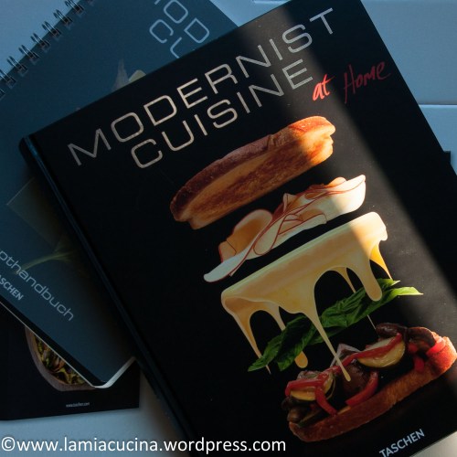 Modernist Cuisine at Home