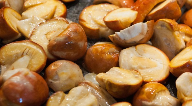 Ovoli mit Pappardelle