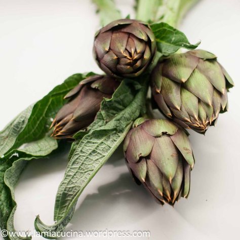 Carciofi spinosi