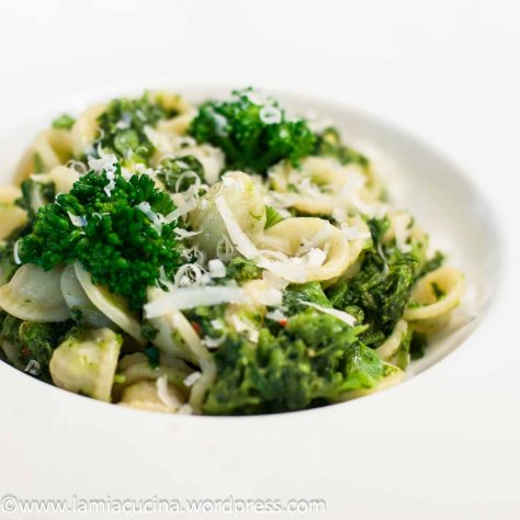 Orecchiette mit Cima di Rapa