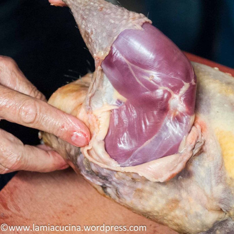 Rosenblatt: Hors-d'oeuvre