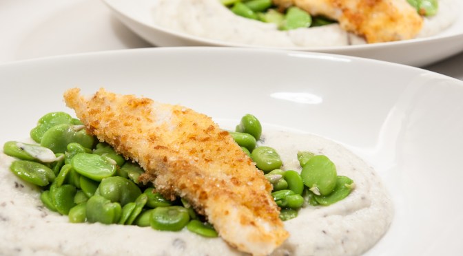 Seezunge auf getrüffelter Blumenkohlcreme mit Fave