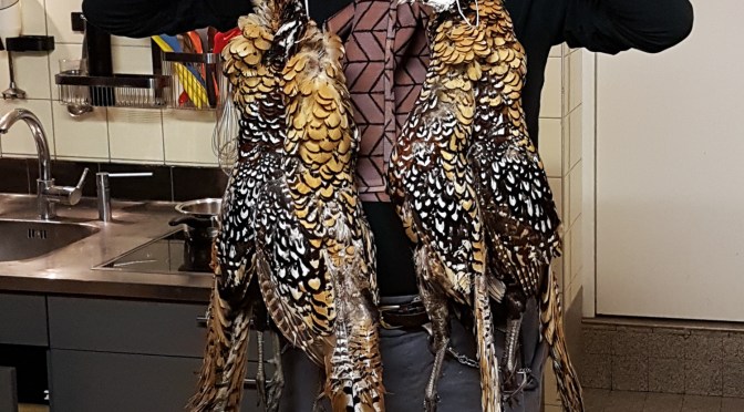 Crepinette vom Goldfasan auf Cassoulette vom Schenkelfleisch mit Linsen und Federkohl