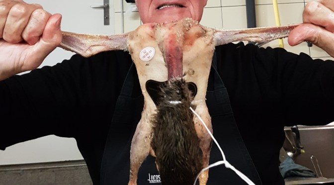 Blutente: Confit, Brüstchen, Jus und Kerbelwurzelpüree