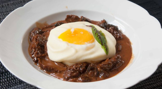 Die Morchelkönigin und das vergessene Ei