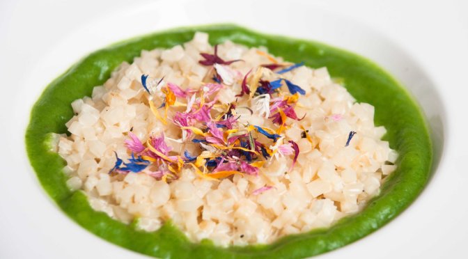 Selleriesotto mit Bärlauchvelouté