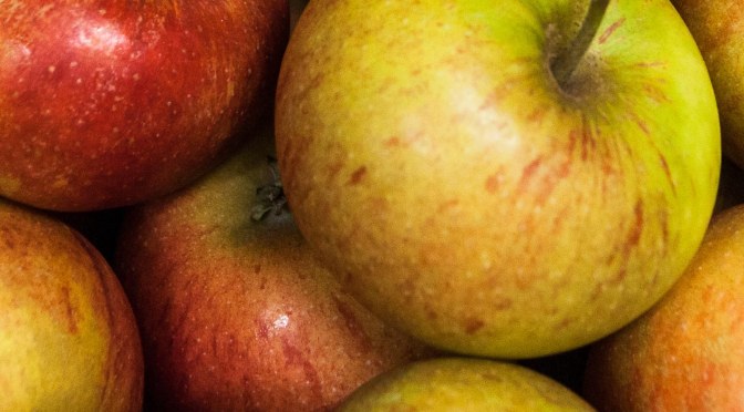 Der Apfel und die Mutterhefe