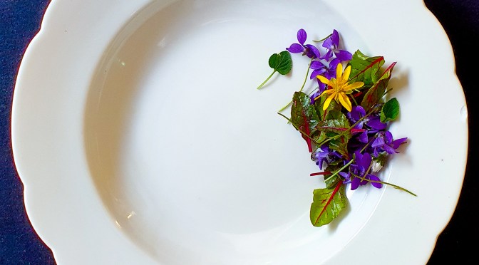 Allerleigrün&Unkrautsuppe