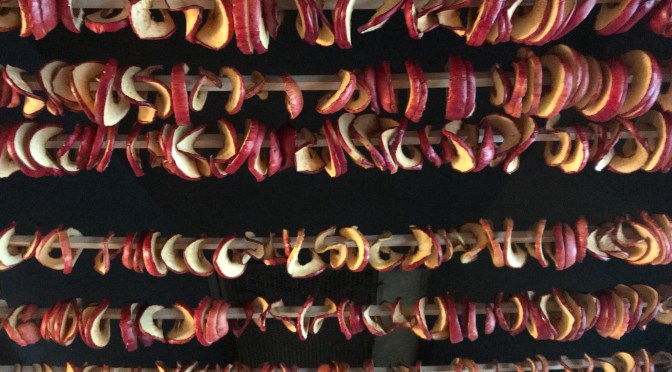 CH-2857 Montavon JU und Fruits secs en robe