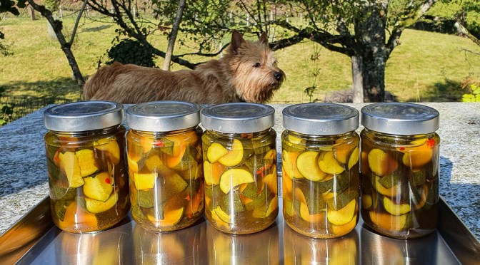 Courgettes à l’aigre-doux, marinierte Zucchetti