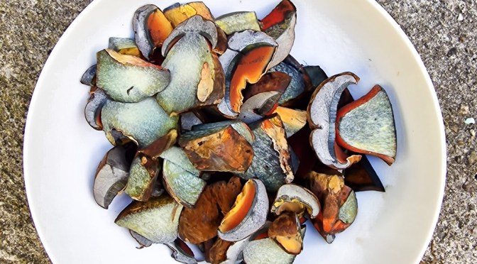 Pilzragout: Schwefelgelb und Cyanblau.