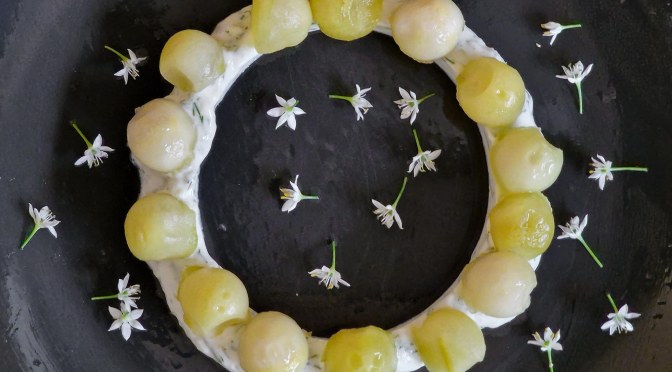 Der Ring der nie gelungen (Gurkenmurmeln)