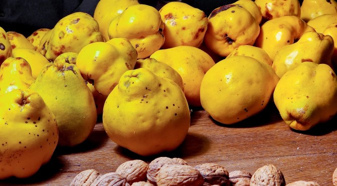 Cremiges Quittensorbet