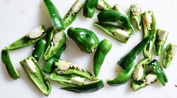 Was der Mensch sät, wird er ernten