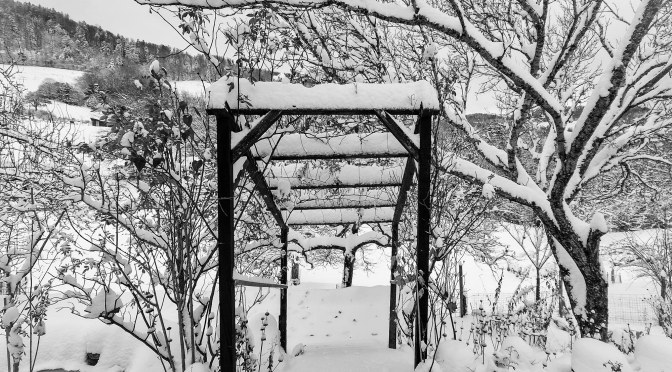 Spätherbstlicher Gemüseteller