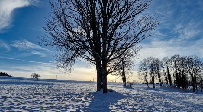 Petersilienwurzel, Haselnuss, Forelle