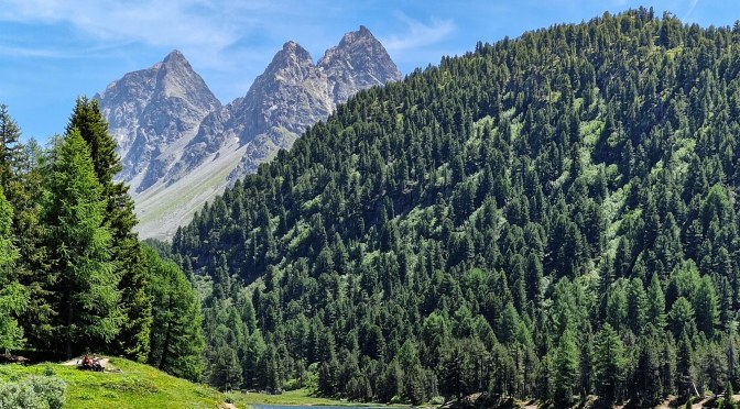 CH-7428 Bergwandern in Bergün/Bravuogn (2/2)